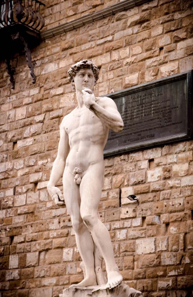 The replica of Michelangelo's David statue in Piazza della Signoria, Florence. The marble statue depicts David standing in a contrapposto pose against a backdrop of a brick wall with a plaque, capturing the detailed anatomy and serene expression of the iconic Renaissance artwork.
