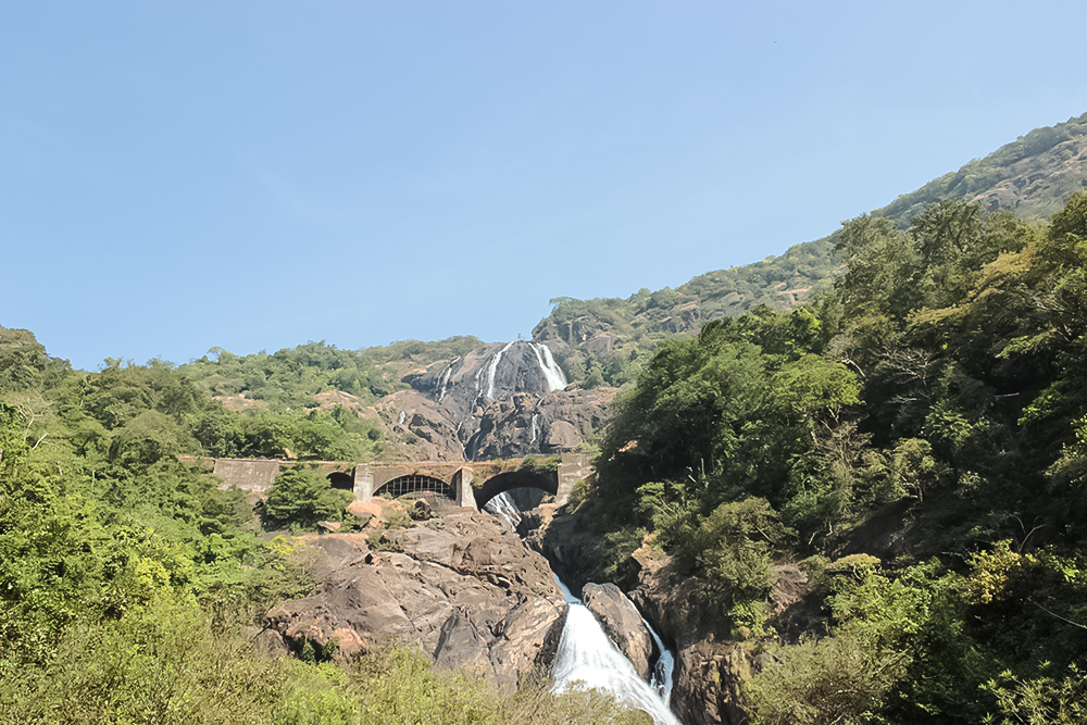 Dudhsagar Falls cascading down rocky cliffs, surrounded by lush greenery and a clear blue sky.
