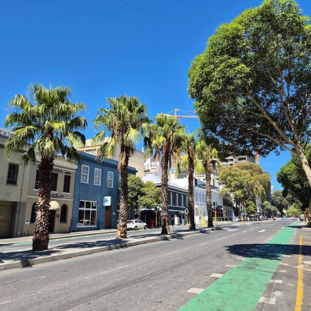A vibrant street scene in Cape Town, South Africa, featuring palm trees lining the road, colorful buildings, and a clear blue sky.