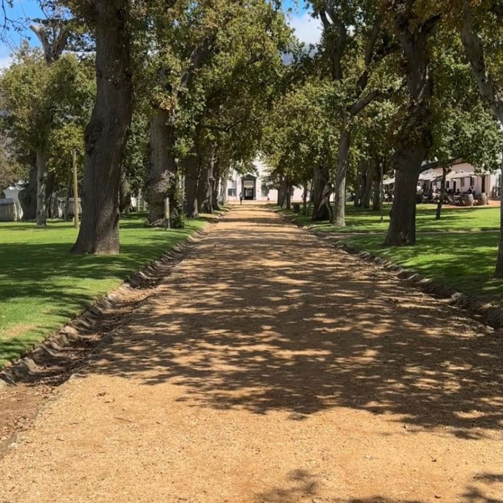A scenic pathway lined with trees, leading to Groot Constantia Manor House in the background, with a well-maintained green lawn on either side.